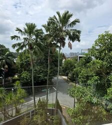 Serangoon Garden Estate (D19), Detached #584518571